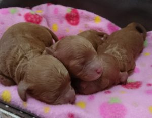 16-07-14-15-27-58-065_deco