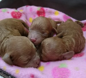 16-07-14-15-28-31-685_deco