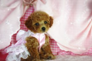 16-08-11-11-37-24-600_deco