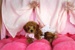 16-08-11-13-43-53-601_deco