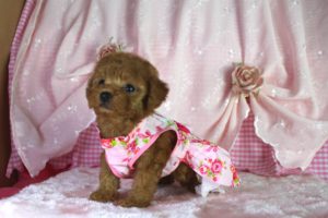 16-08-23-19-37-58-905_deco