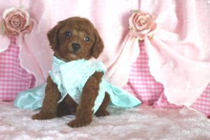 16-08-23-20-53-16-100_deco