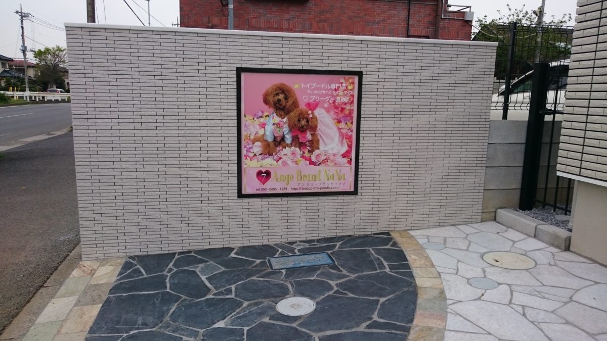 2017年04月18日 アンジュブランドナナの新築工事♪ついに完成.｡.:*✧